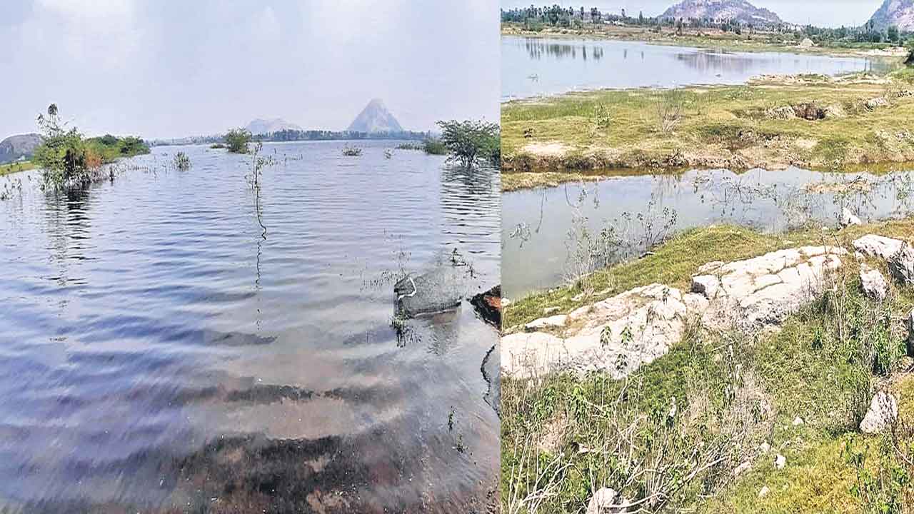 Ravi Cheruvu | నాడు కాళేశ్వరం నీటితో జలకళ.. నేడు చుక్క నీరు లేక తేలిన రాళ్లు