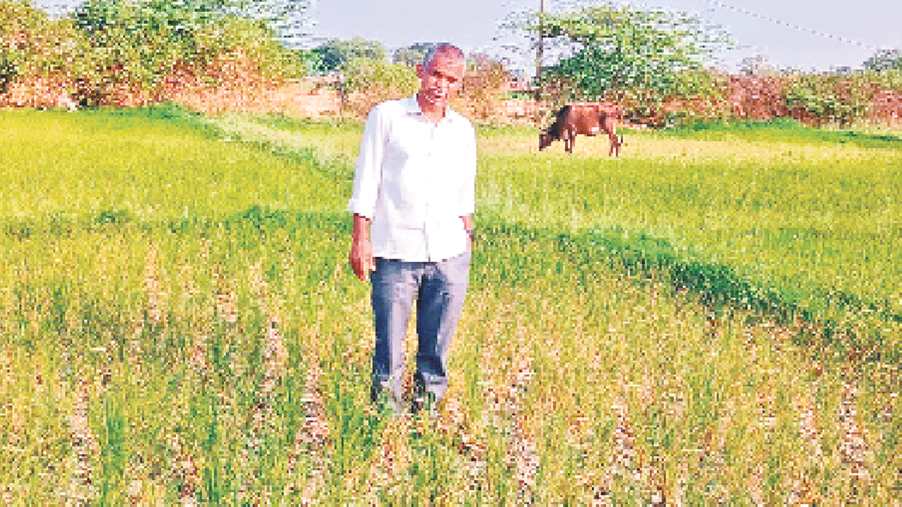 దిక్కుతోచని స్థితిలో రైతులు దిగులు