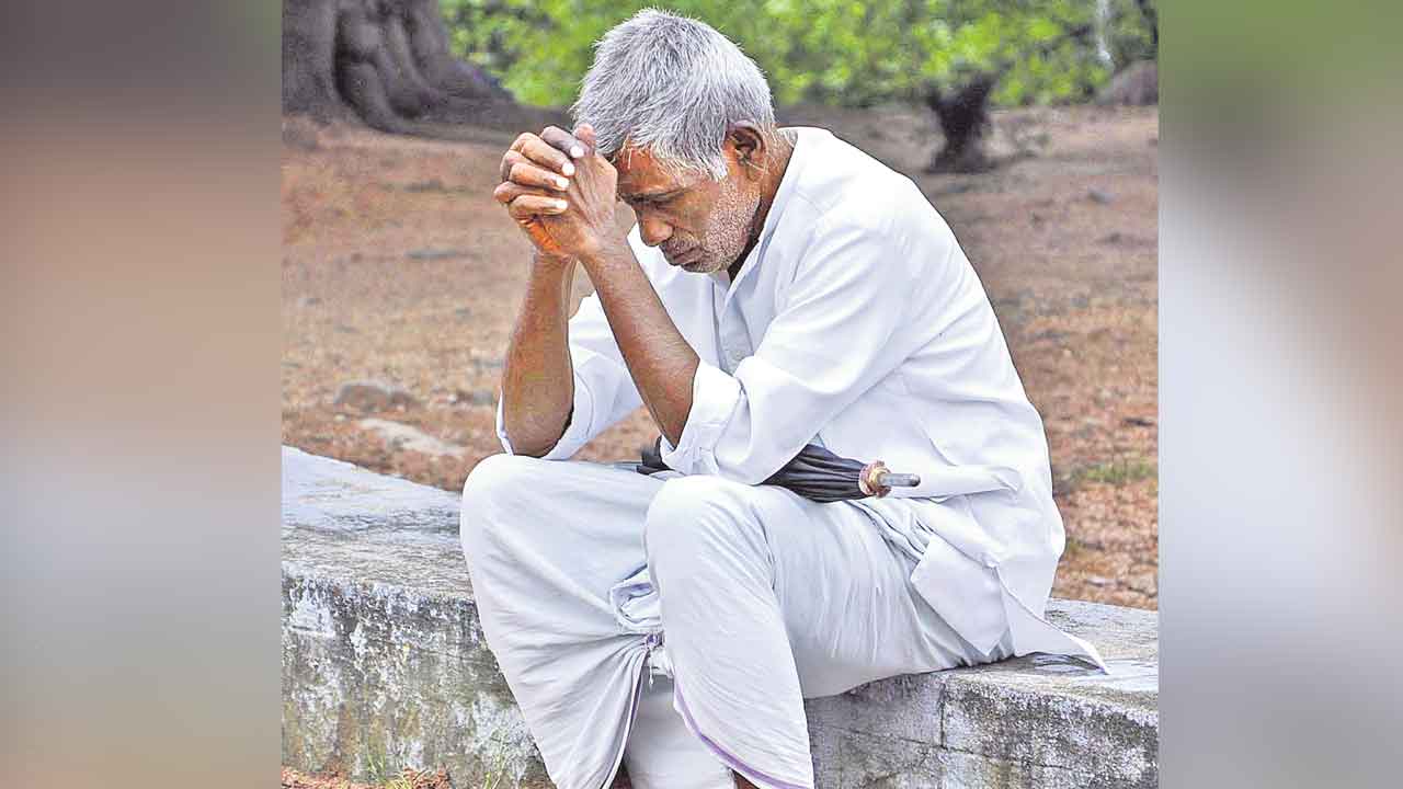 విష సంస్కృతి