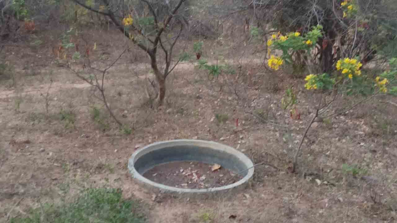 సాసర్లు ఖాళీ!