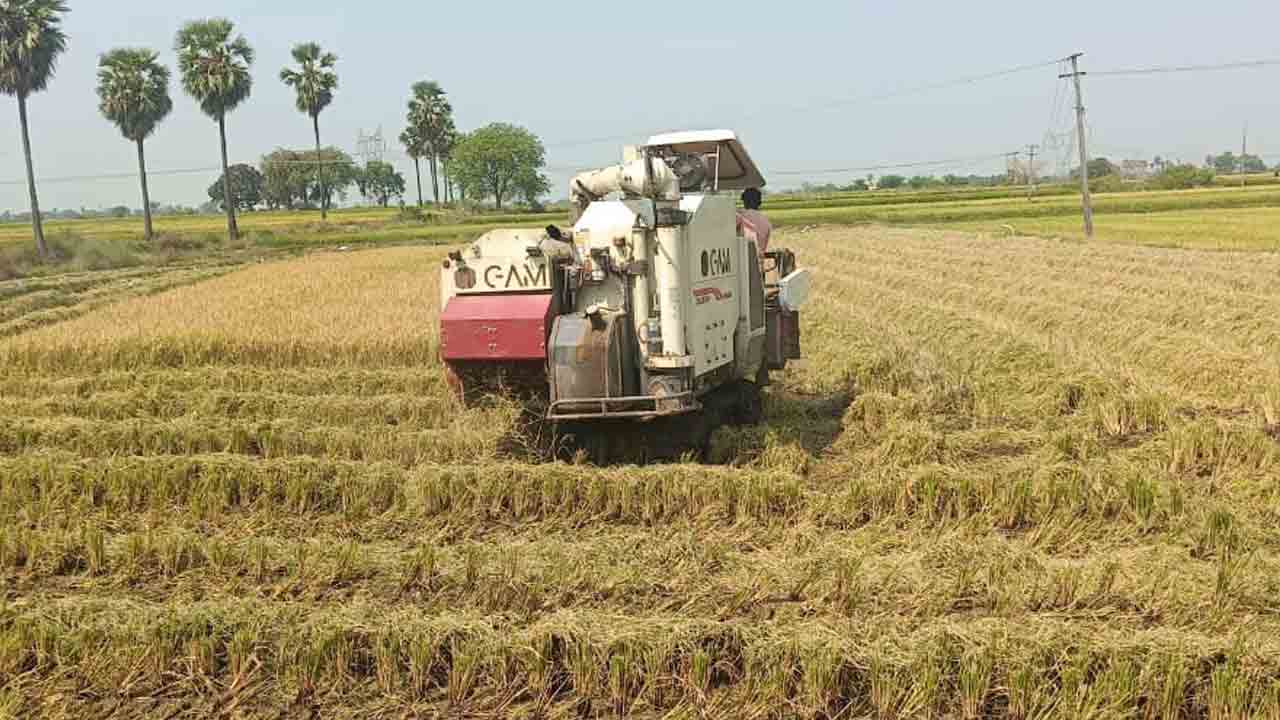 ధాన్యం ధర ఢమాల్‌.. వారం క్రితం క్వింటాకు రూ.2,400 నుంచి రూ.2,500