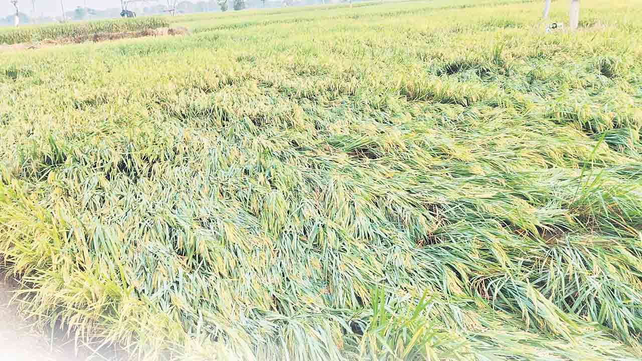 అన్నదాతకు అకాల కష్టం