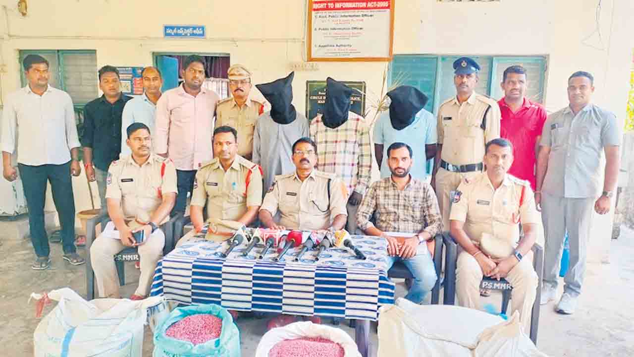 నకిలీ పత్తి విత్తనాల ముఠా గుట్టురట్టు