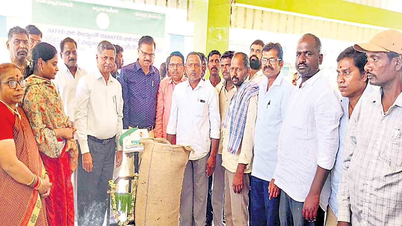 సిద్దిపేటలో సన్‌ఫ్లవర్‌ కొనుగోలు కేంద్రం