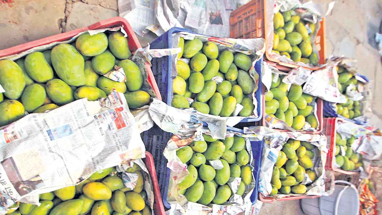 Calcium Carbide | రసాయనాలతో మామిడిపండ్ల మగ్గింపు.. క్యాన్సర్‌ వచ్చే ప్రమాదముందన్న వైద్యులు