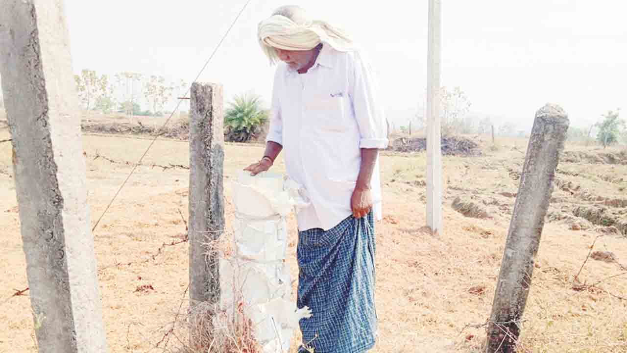 పక్కనే ప్రాణహిత.. కానరాని నీటి చుక్క