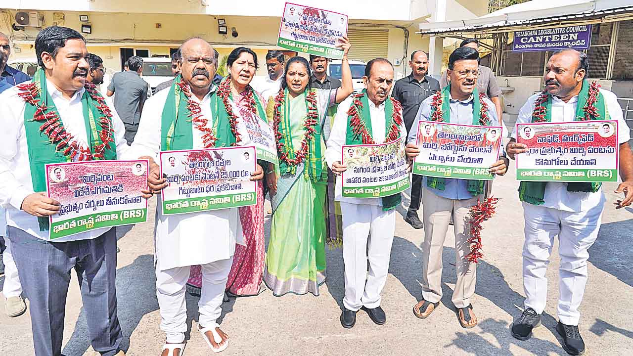 మిర్చి దండలతో మండలికి