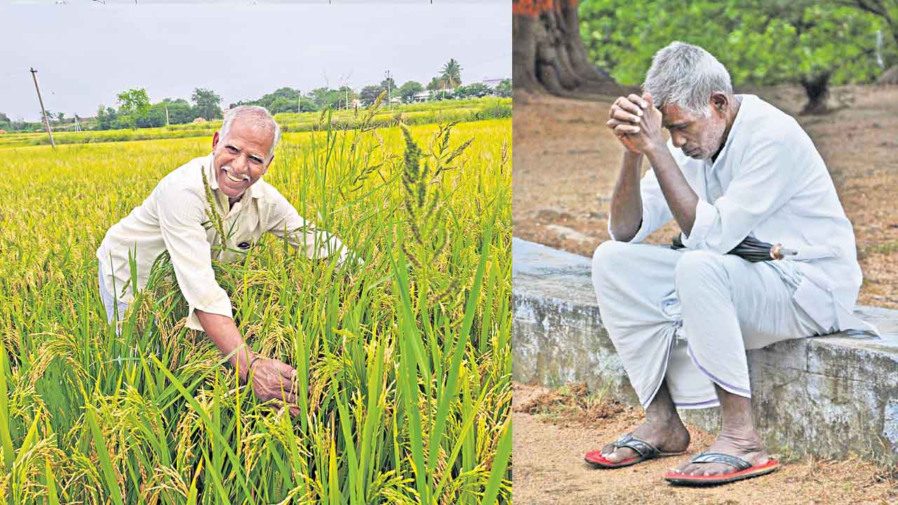 Telangana | ఎట్ల తెర్లయిపాయెరా నా తెలంగాణ.. దశాబ్దం క్రితం నాటి దుర్భిక్ష దృశ్యం పునరావృతం!