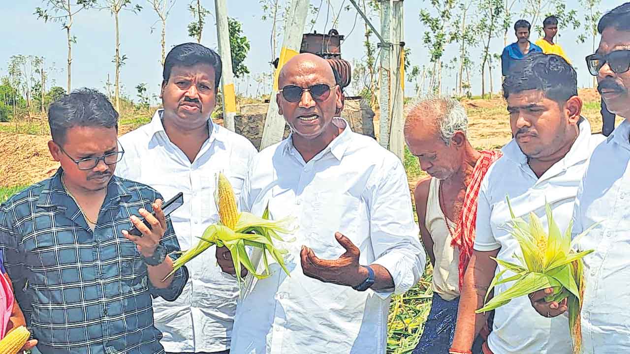 ఎకరానికి రూ.50 వేలిచ్చి ఆదుకోవాలి