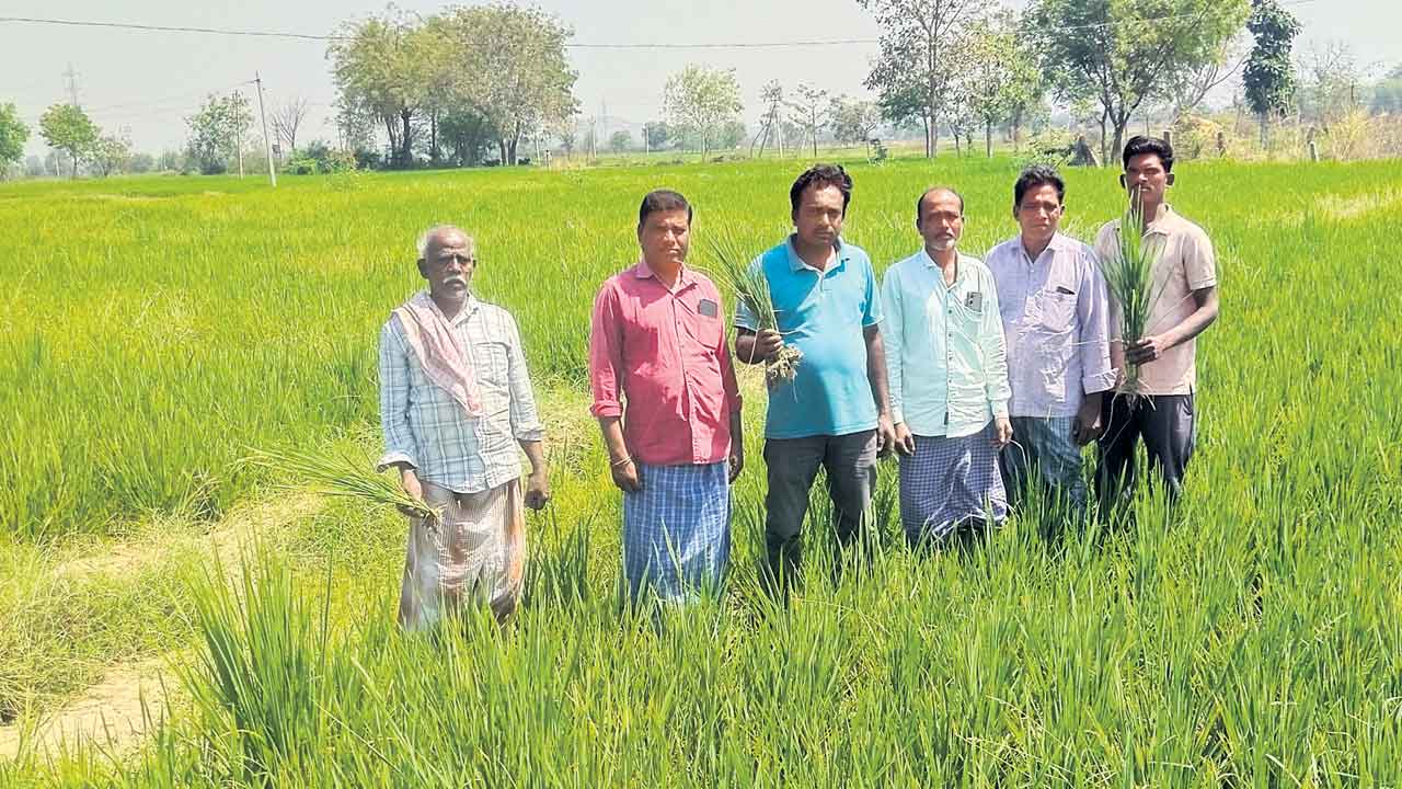 కేసీఆర్‌ పాలనలో గుంట కూడా ఎండలె