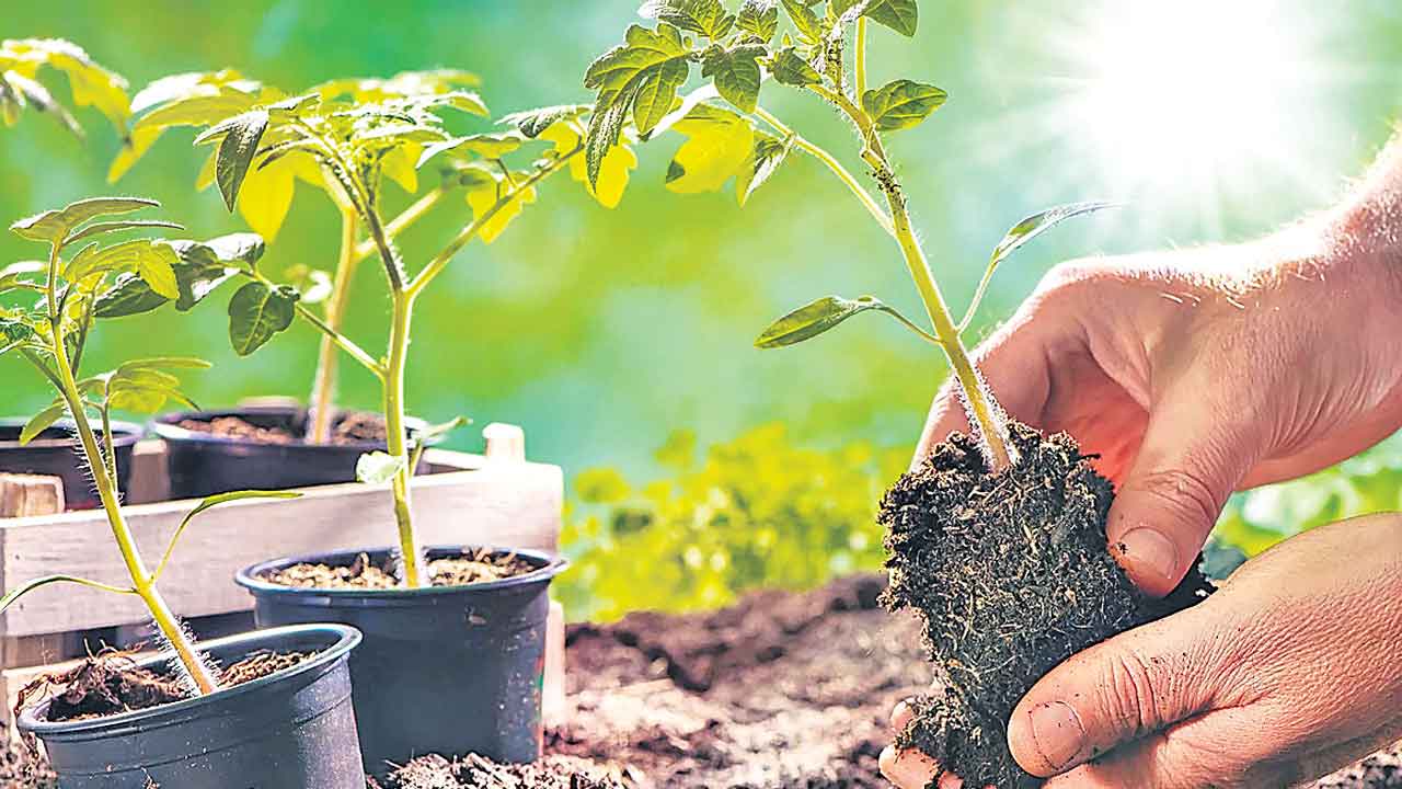 వ్యర్థం కాదు.. బలం!