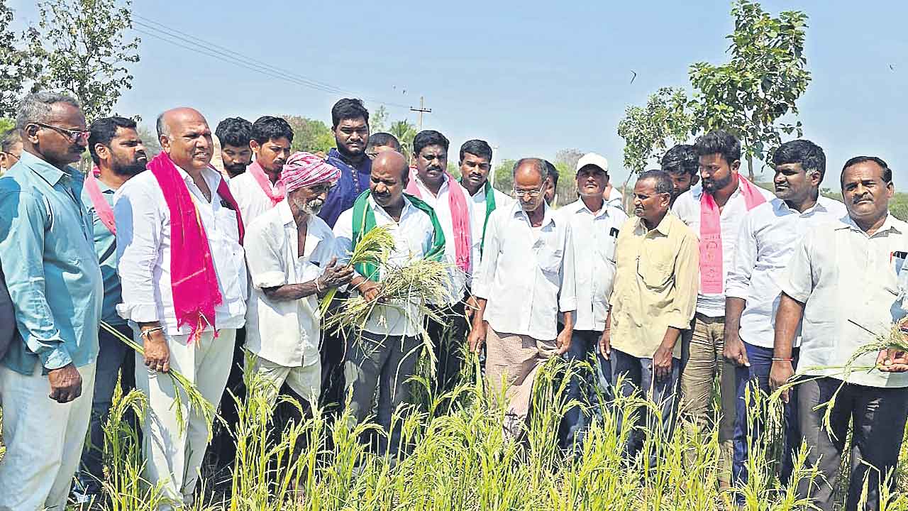 కాంగ్రెస్ అవగాహన రాహిత్యంతోనే ఎండుతున్న పంటలు
