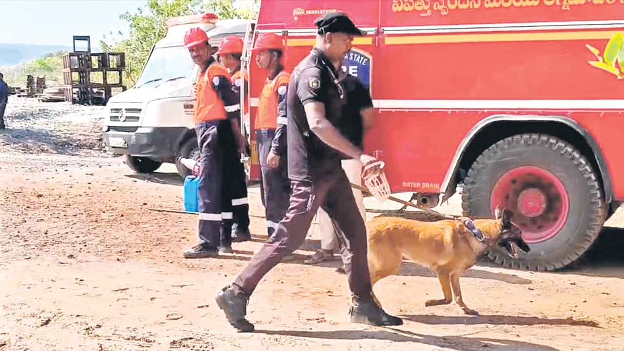 SLBC Tunnel Collapse | ఎస్‌ఎల్‌బీసీ సొరంగంలోకి కేడవర్‌ డాగ్స్‌.. ఇంకా తెలియని 8 మంది కార్మికుల జాడ