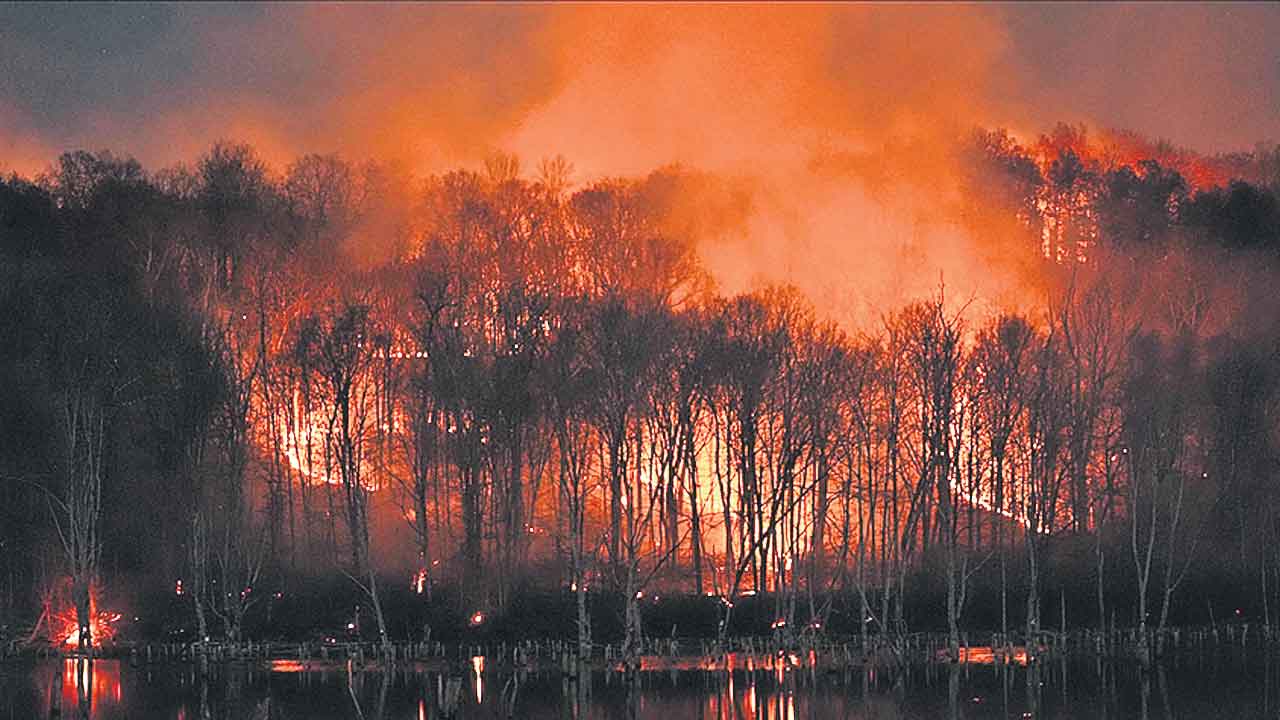 జపాన్‌లో కార్చిచ్చు బీభత్సం