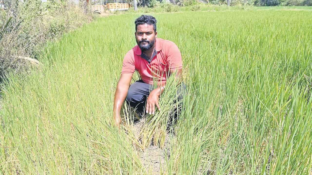 అన్నదాత అరిగోస
