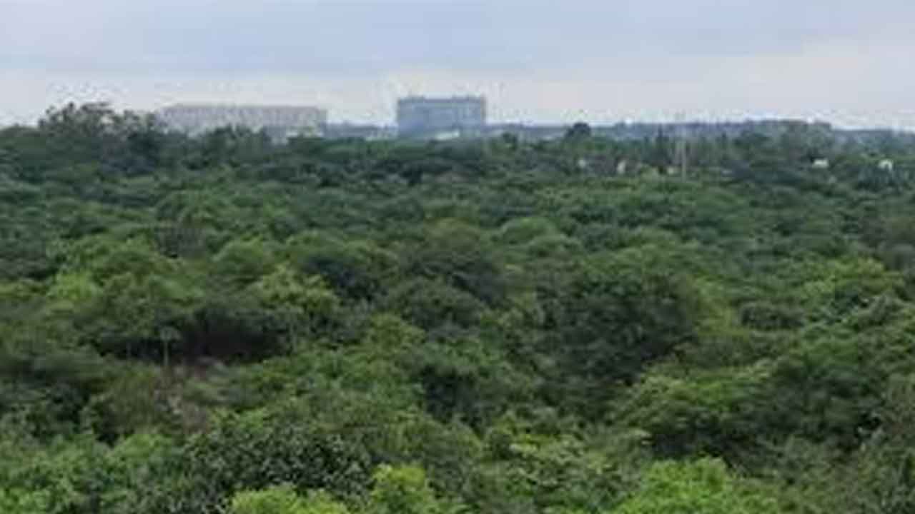 HCU | రూ.30 వేల కోట్ల కోసం.. 400 ఎకరాల అడవి ధ్వంసం