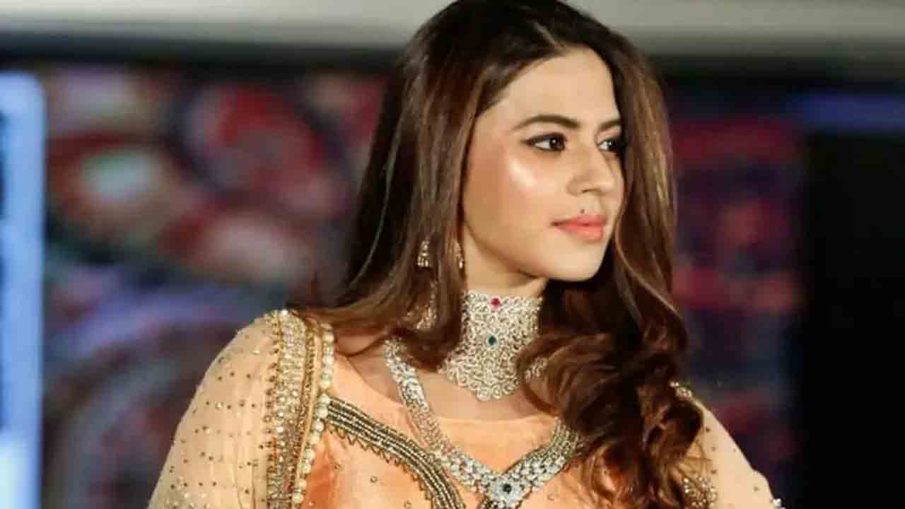 దుబాయ్‌ నుంచి 17 బంగారు కడ్డీలు తెచ్చా