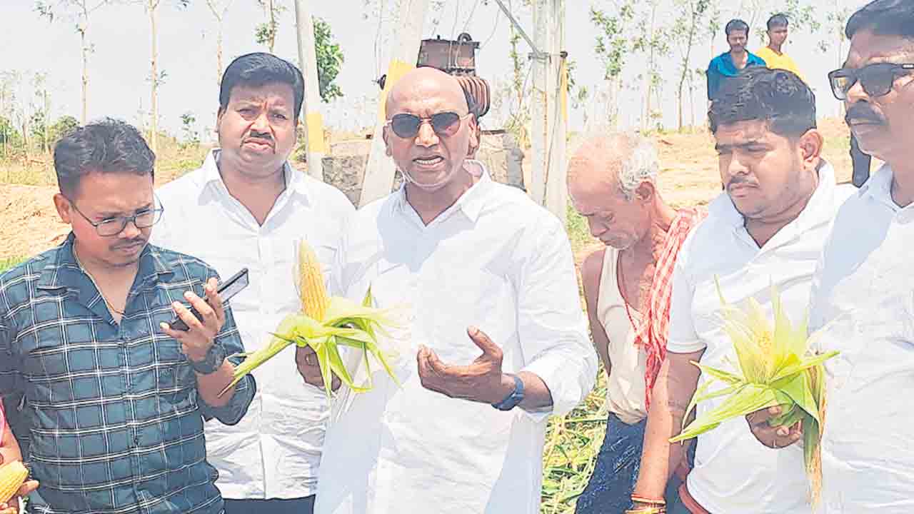 ఎకరానికి రూ. 50 వేల పరిహారమివ్వాలి