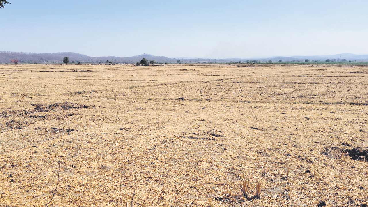 భీడుగా భూములు