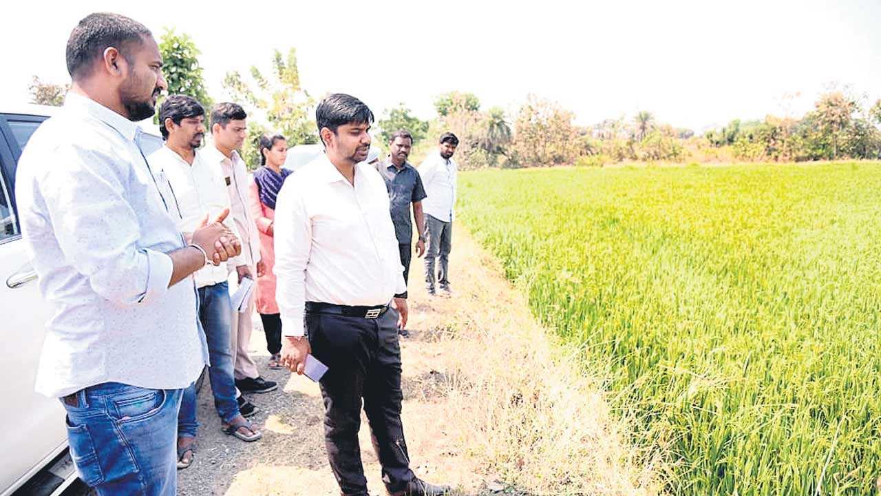 రైతులు అధైర్యపడొద్దు