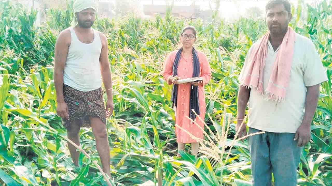 అకాల వర్షం అపార నష్టం