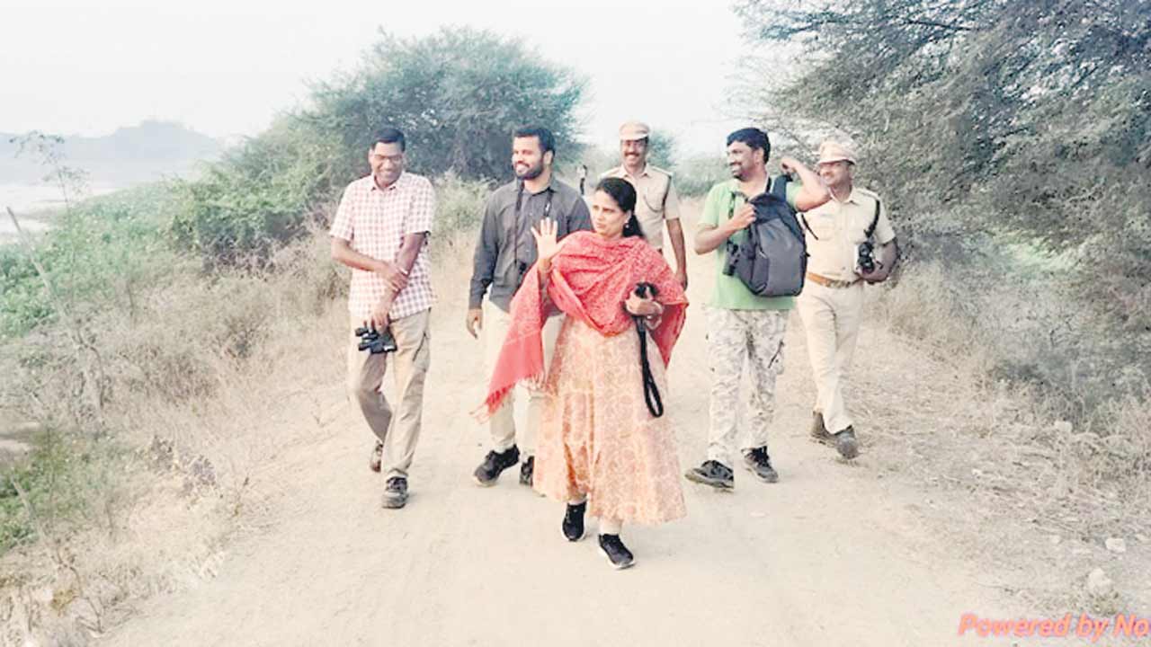 కిలకిలల కనువిందు