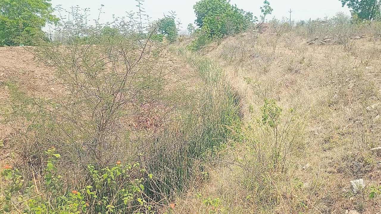 Adilabad6