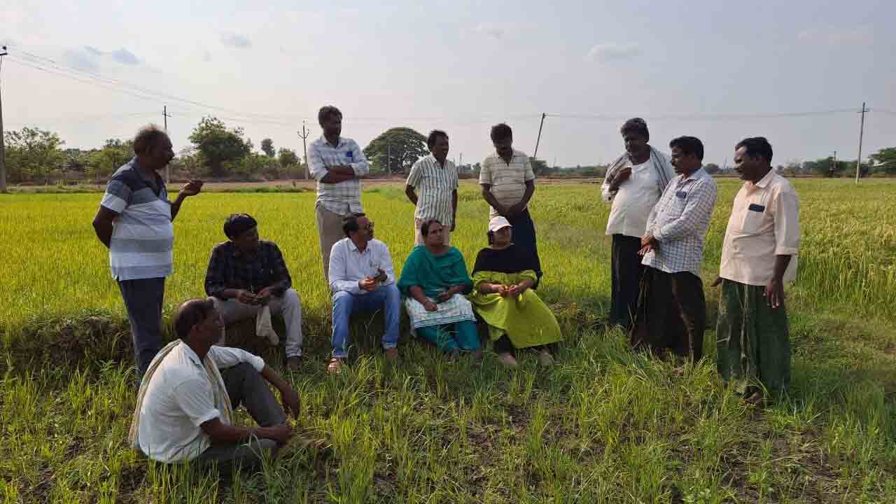 మంగళగూడెంలో ఎండిన పొలాల పరిశీలన