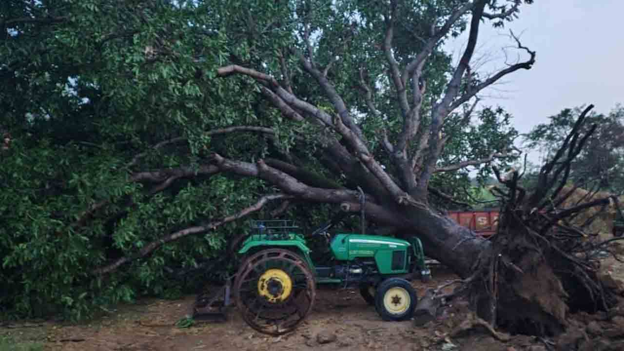 Air storm | గాలి దుమారం బీభత్సం.. కూలిన చెట్లు, ఎగిరిపోయిన రేకులు