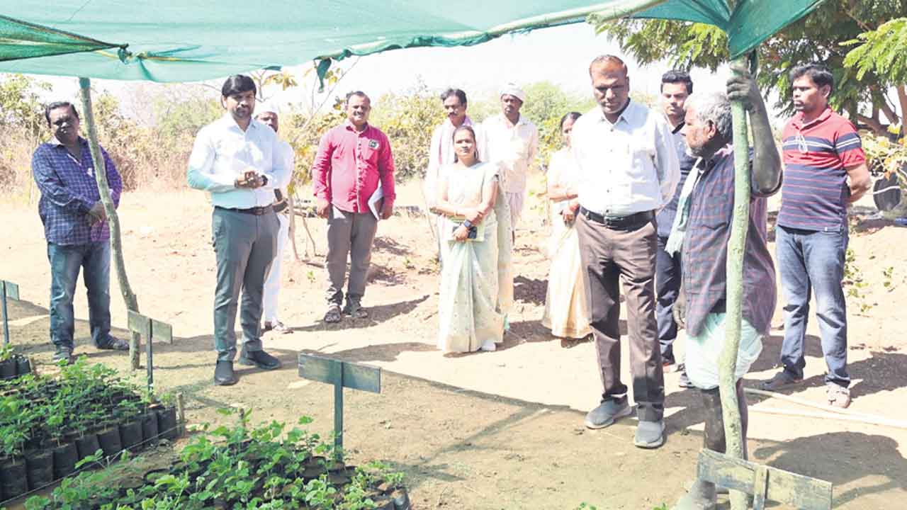 ప్రతి మొకనూ సంరక్షించాలి