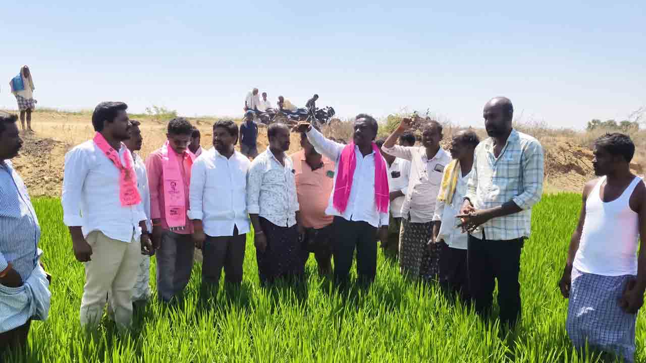 రైతుల బాధలు ప్రభుత్వానికి పట్టవా..?