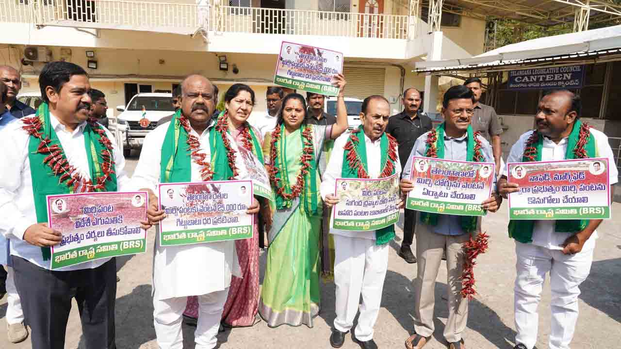 మెడలో మిర్చి దండలు..