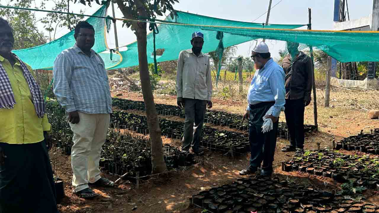 వేసవిలో మొక్కలు ఎండిపోకుండా చూసుకోండి.. పంచాయతీ కార్యదర్శులకు ఎంపీడీవో సూచన