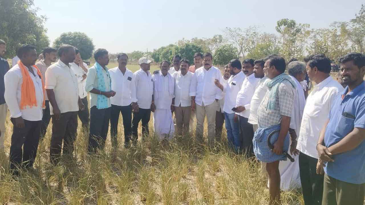 సాగునీరందించాలి