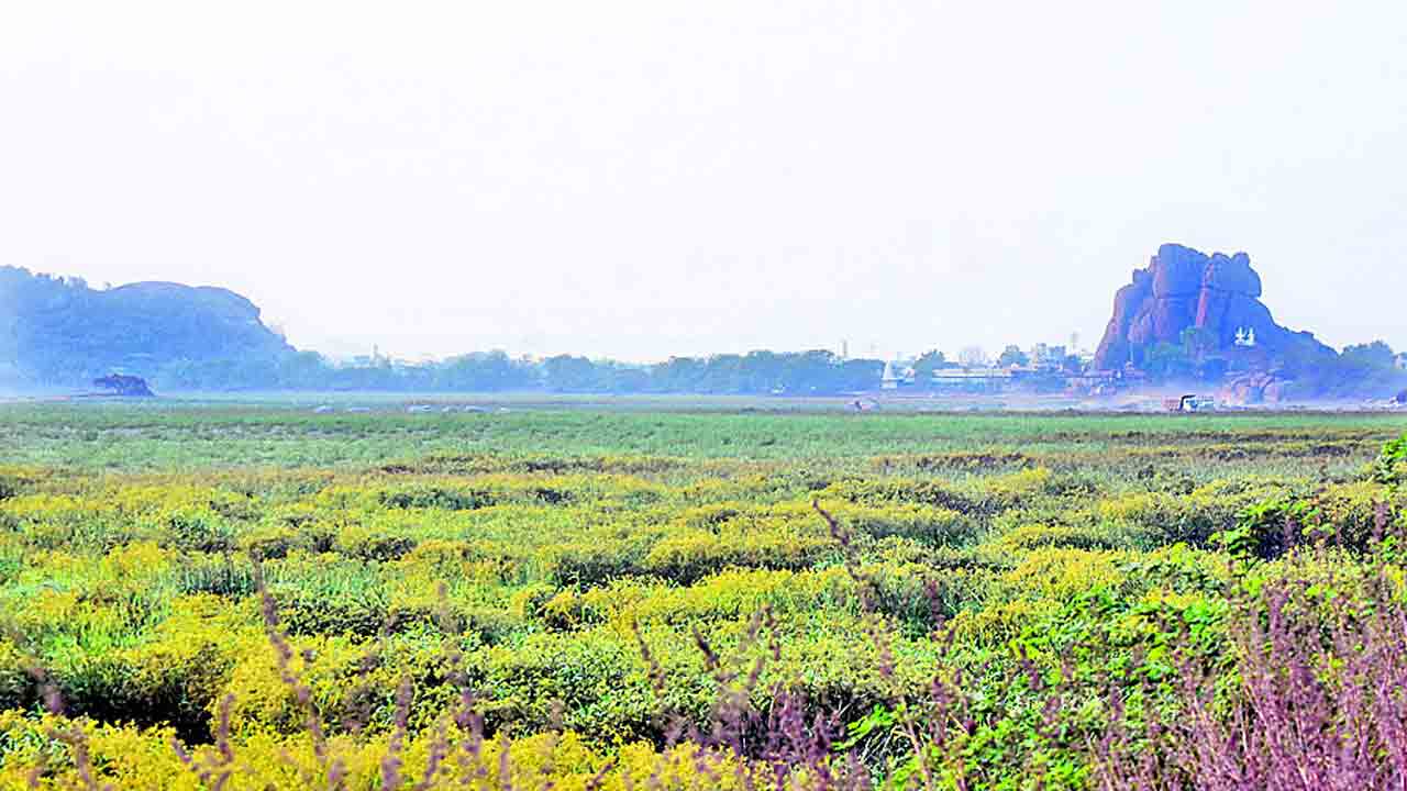 ఇప్పుడేం చేద్దాం ?