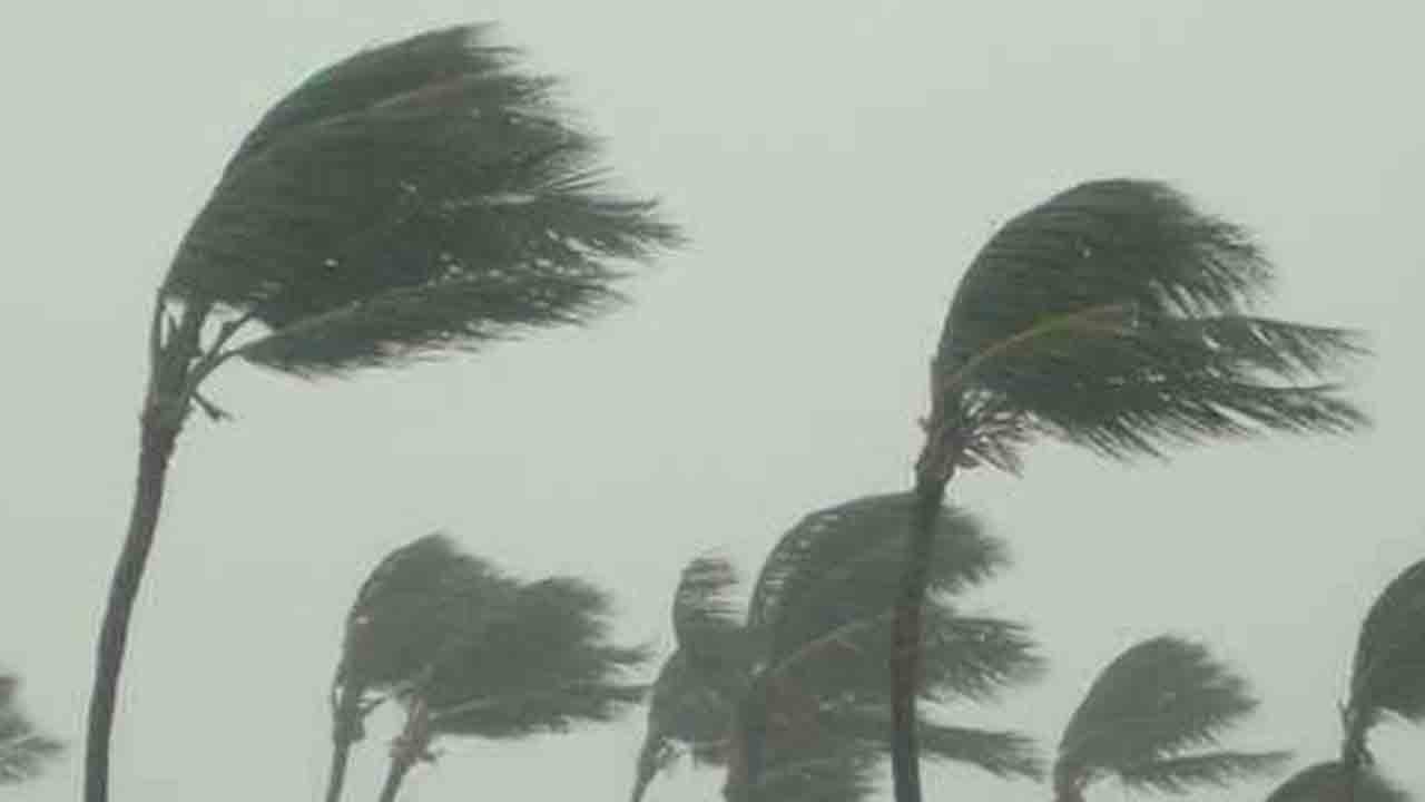 Bike | ఇద్దరు బైక్‌పై వస్తుంటే గాలిదుమారానికి విరిగిపడ్డ చెట్టు