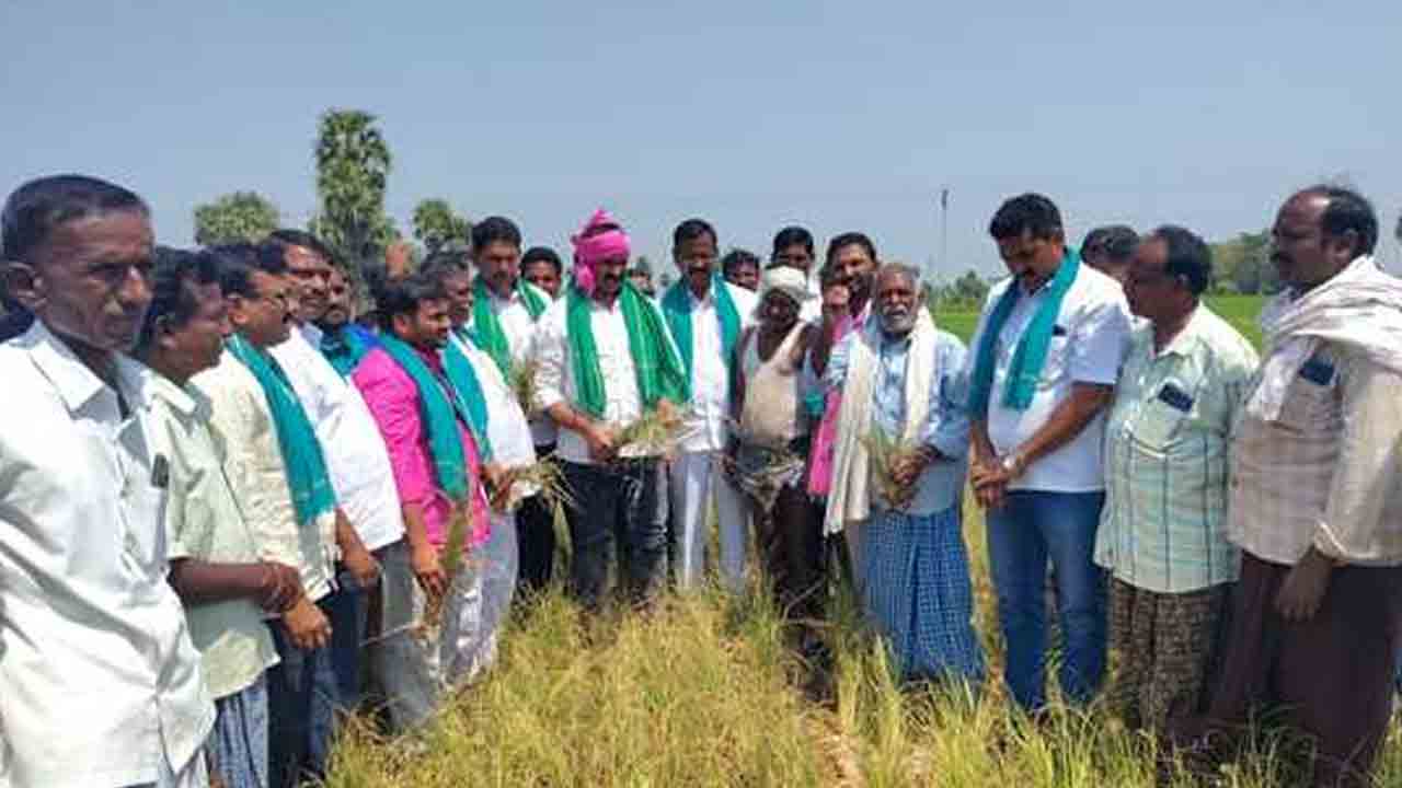 Bollam Mallaiah Yadav | ఎండిపోతున్న పంటలు.. రైతులను నట్టేట ముంచిన కాంగ్రెస్ ప్రభుత్వం : మాజీ ఎమ్మెల్యే బొల్లం మల్లయ్య యాదవ్