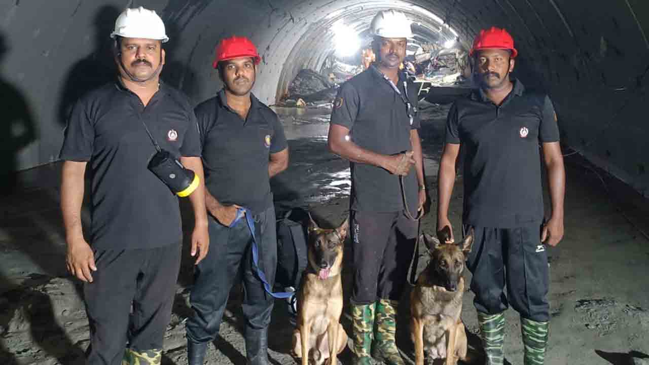 కొనసాగుతున్న సహాయక చర్యలు