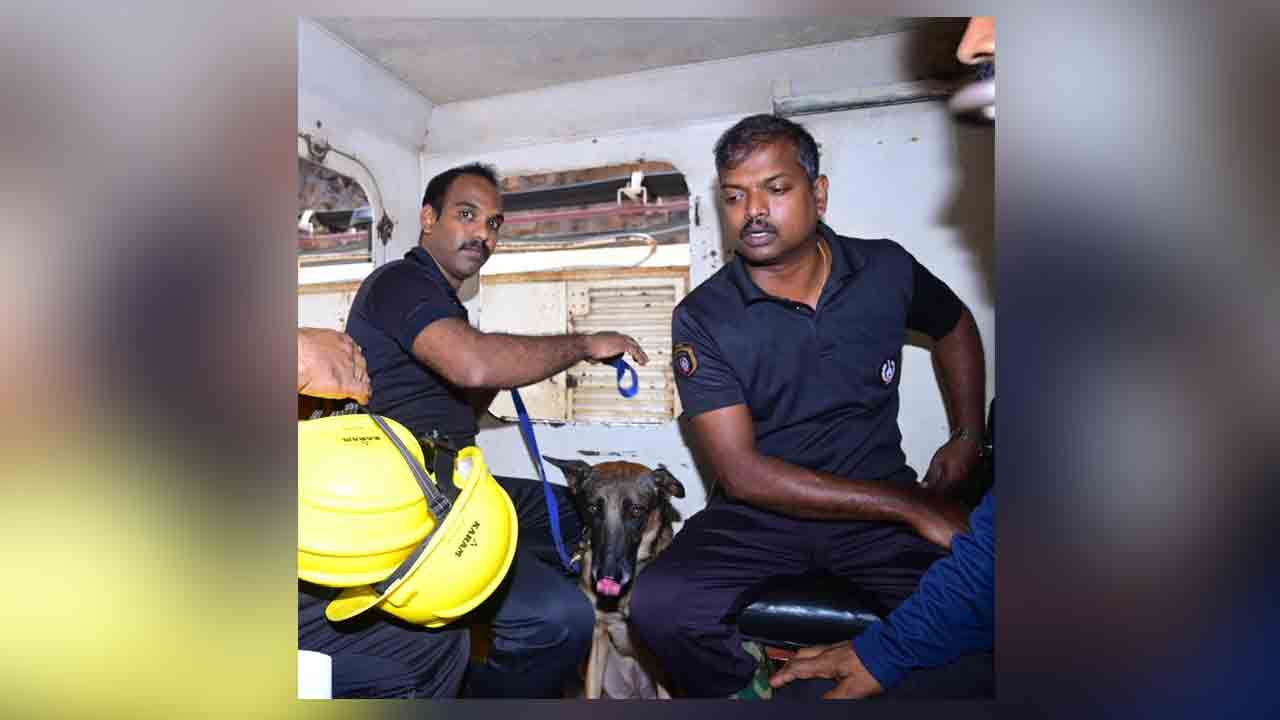 SLBC Tunnel | ఎస్ఎల్బీసీ సొరంగంలో వేగవంతంగా రెస్క్యూ ఆపరేషన్.. మరోసారి టన్నెల్లోకి క్యాడర్ డాగ్స్