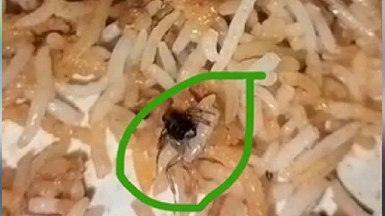 Chicken Biryani | చికెన్ బిర్యానీలో ప్రత్యక్షమైన ఈగ.. ఇంతకీ ఎక్కడో తెలుసా..?