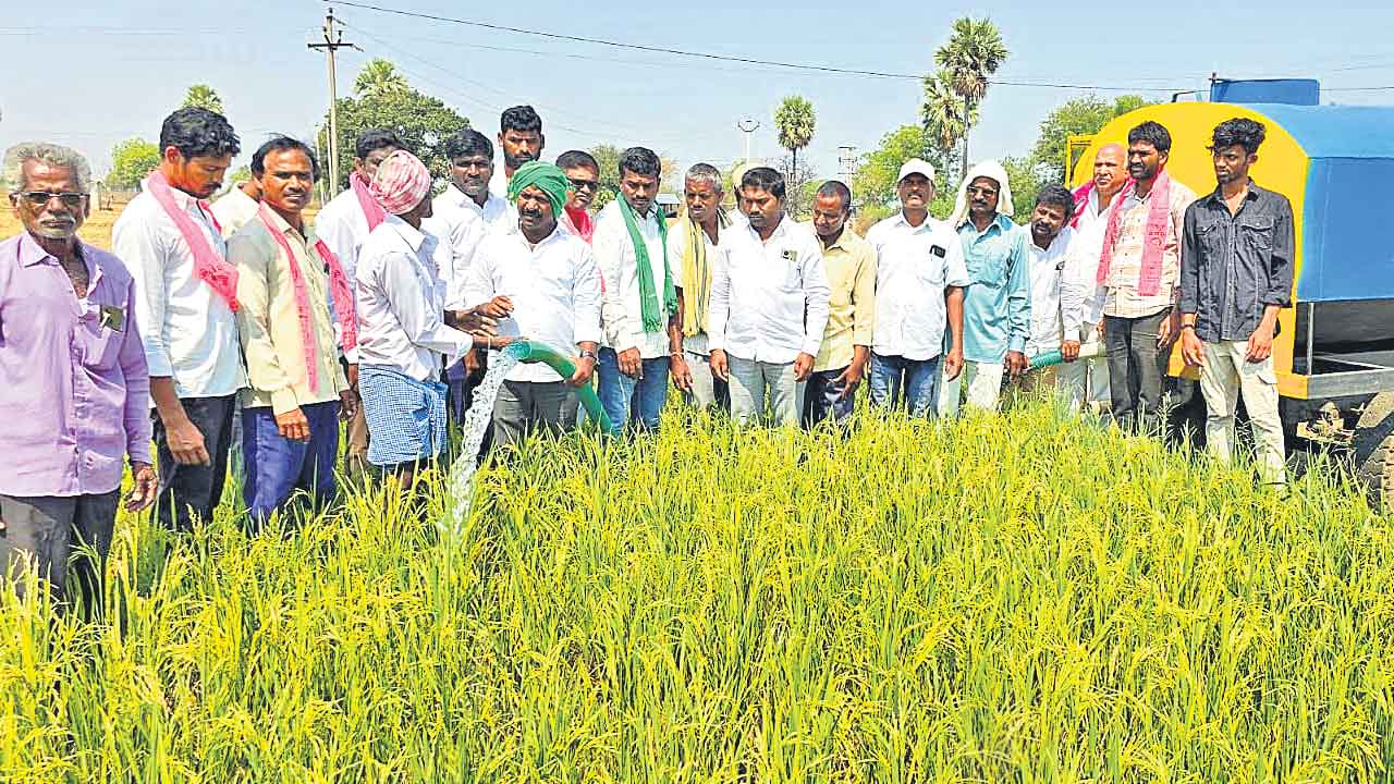 Nalgonda | ఓవైపు నీళ్లు లేవు.. మరోవైపు కరెంట్‌ సమస్య.. సారూ పంటలు పండేదెట్ట?