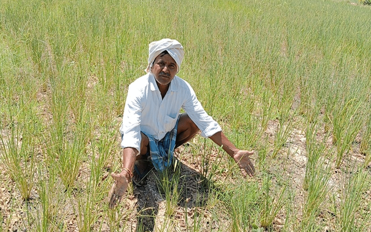 Srsp Water : కాల్వ పక్కనే ఉంది.. పదకొండు ఎకరాలు ఎండింది