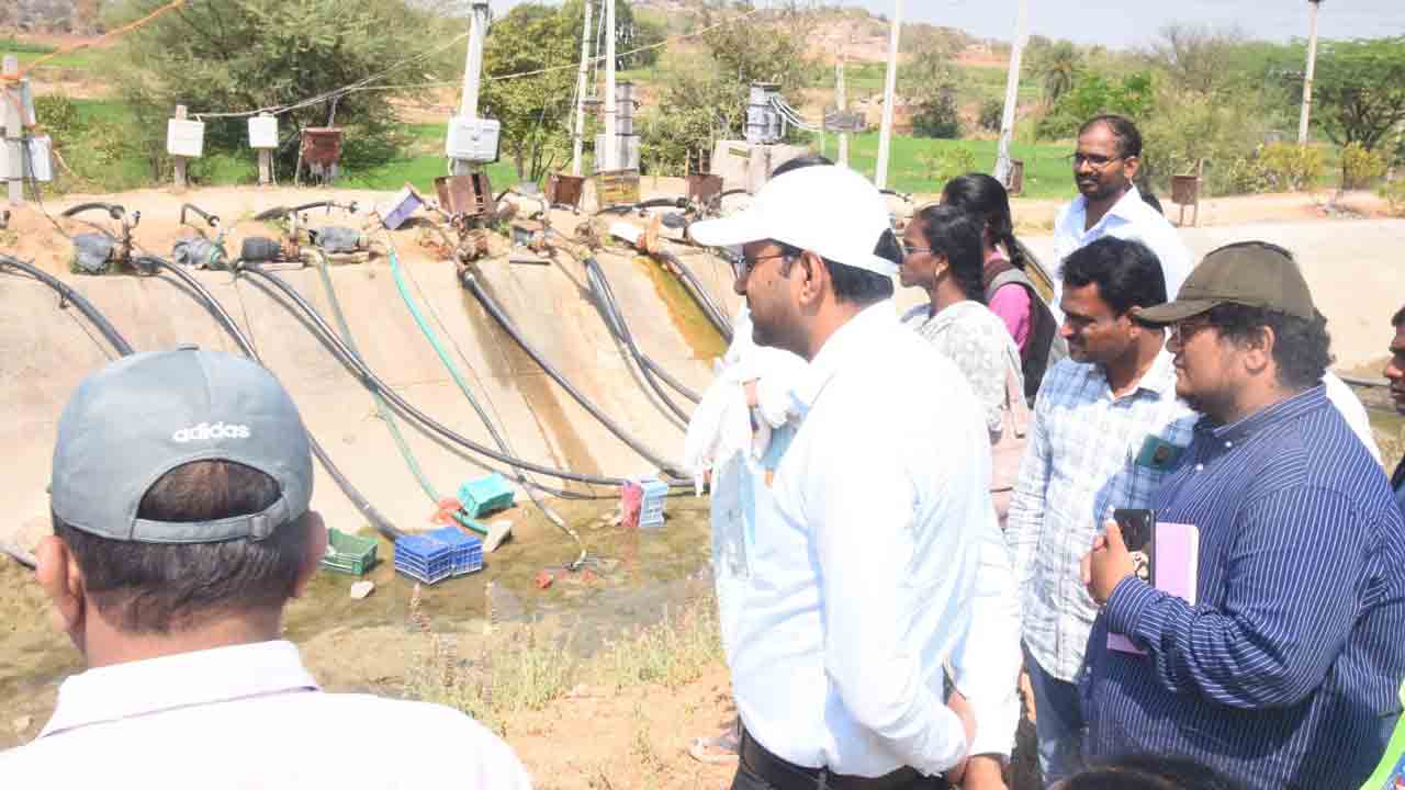 సరపడా సాగునీరు అందించాలి