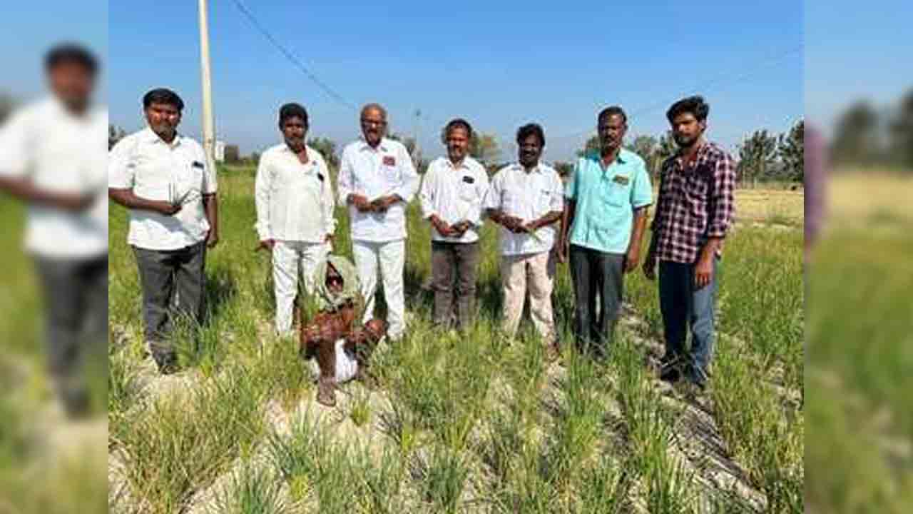 Crop loss | ఎకరానికి రూ.30 వేల నష్ట పరిహారం ఇవ్వాలి : రైతు సంఘం జిల్లా అధ్యక్షుడు మేక అశోక్ రెడ్డి