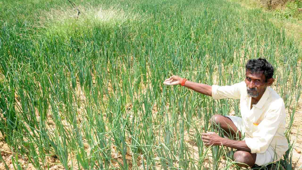 అడుగంటుతున్న భూగర్భ జలాలు