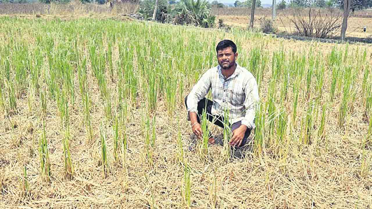 రూ.3 లక్షలు పెట్టినా పొలం దక్కలే