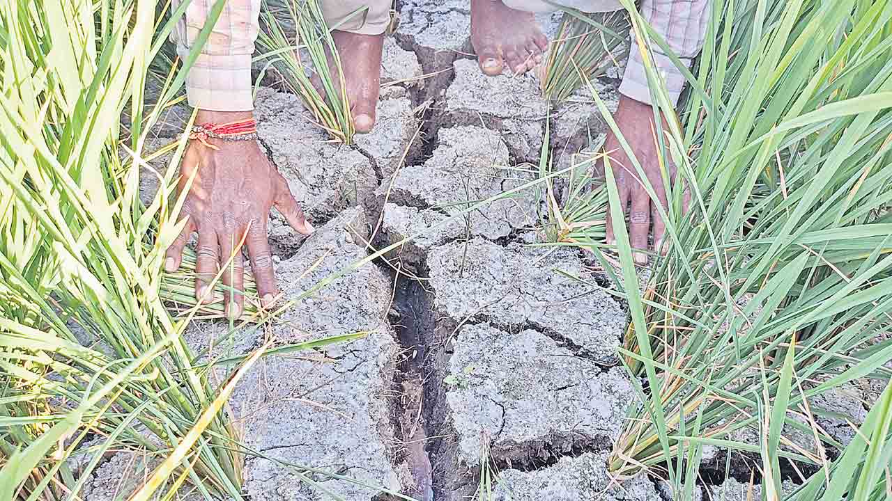 పంట ఎండే.. గుండె చెదిరే