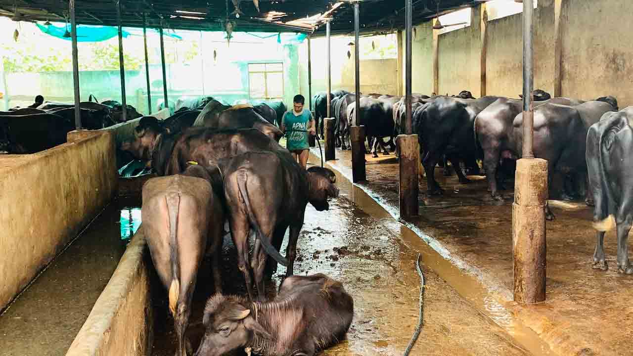 లాభం పంచుతానంటూ బోర్డు తిప్పేశాడు..