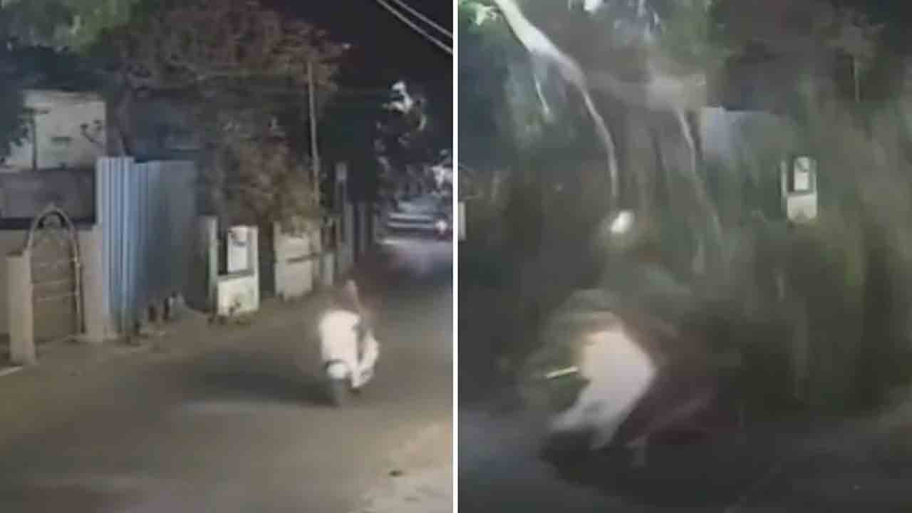 Watch: రోడ్డుపై పడిన చెట్టు.. తృటిలో తప్పించుకున్న డెలివరీ బాయ్‌