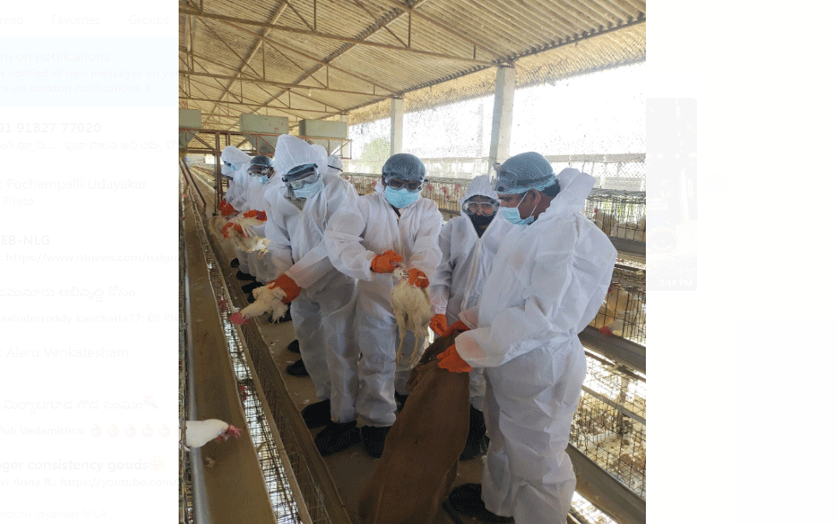 Bird flu : ధోతిగూడెంలో బ‌ర్డ్ ఫ్లూ కేసు న‌మోదు.. రంగంలోకి జిల్లా యంత్రాంగం